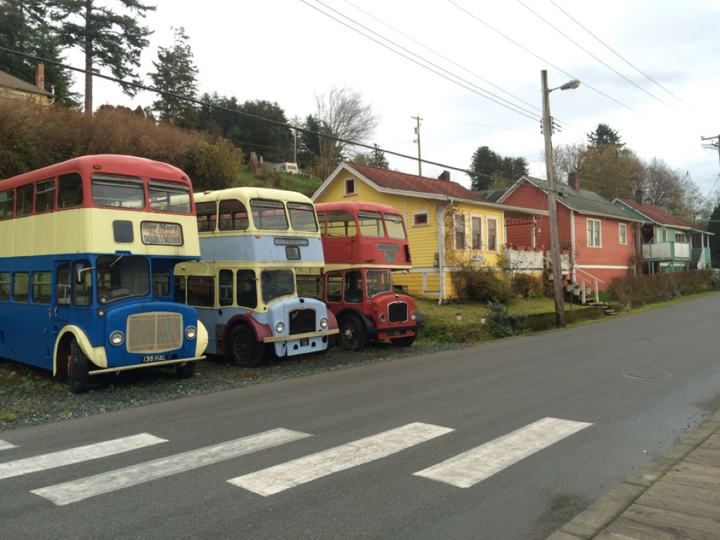 Alert Bay adventure Lost in the Wanderness